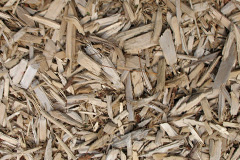 biomass boilers Shapwick