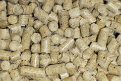 Shapwick biomass boiler costs